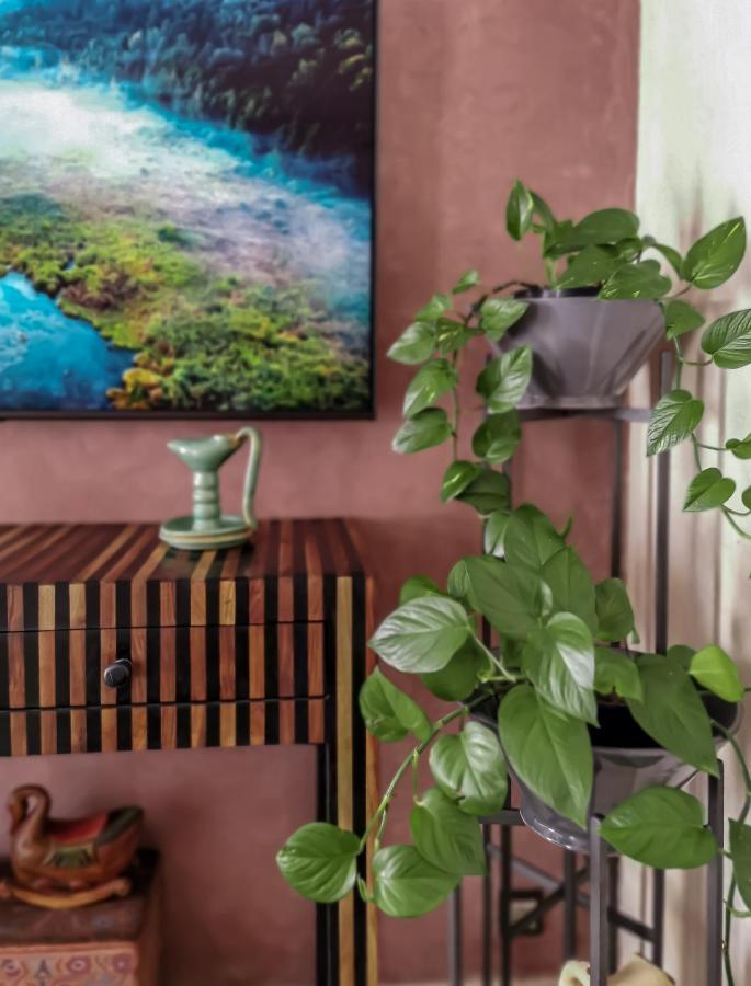 Teddy Pirate - Coliving Hostel Taghazout Kültér fotó